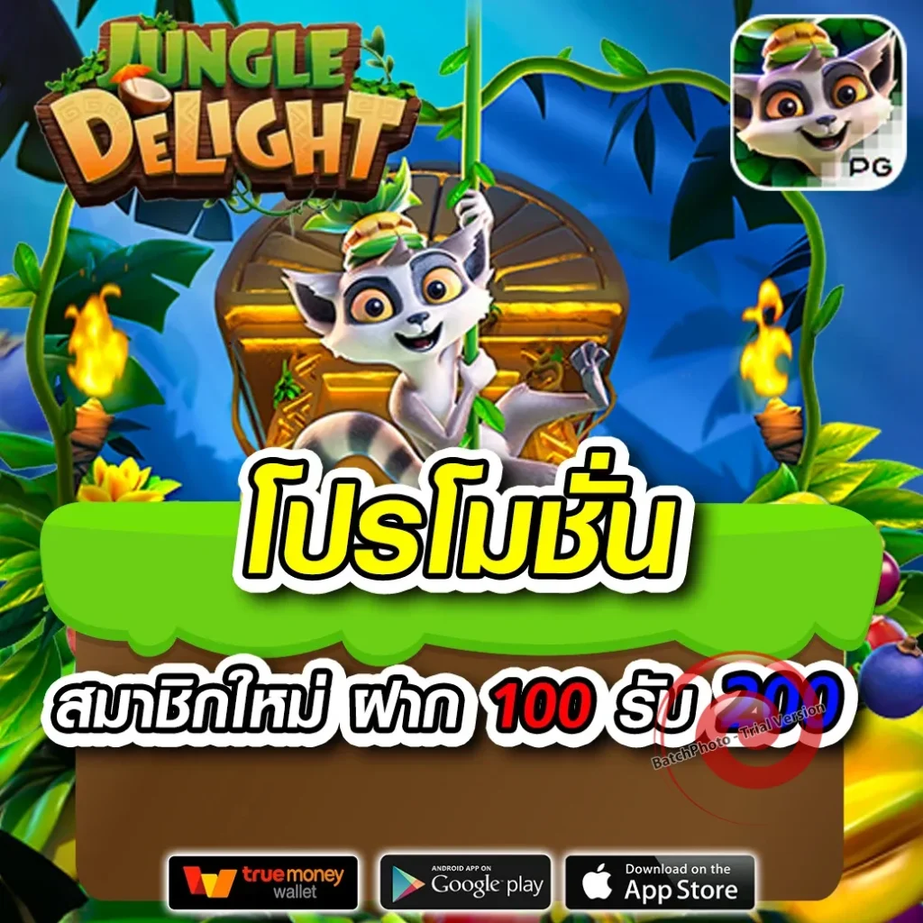 gking bet แจกบ่อย
